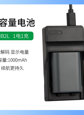 适用于佳能摄像机MVX20i MVX25i MVX30i MVX35i MVX40i电池充电器