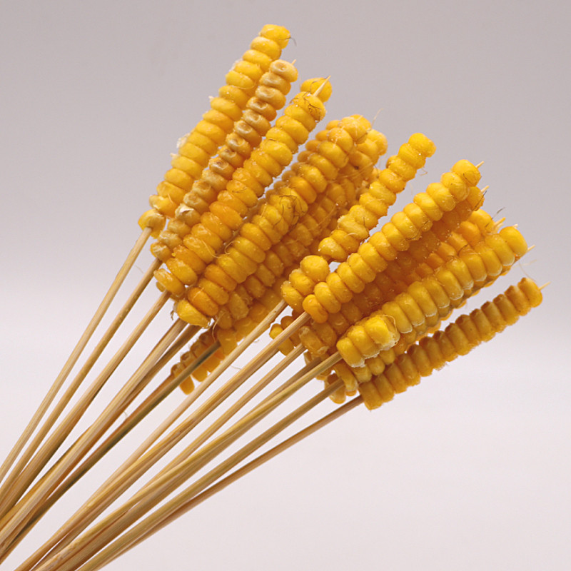 大串家玉米串手把串小串水果蔬菜串小鲜肉串烧烤1000串整件190元