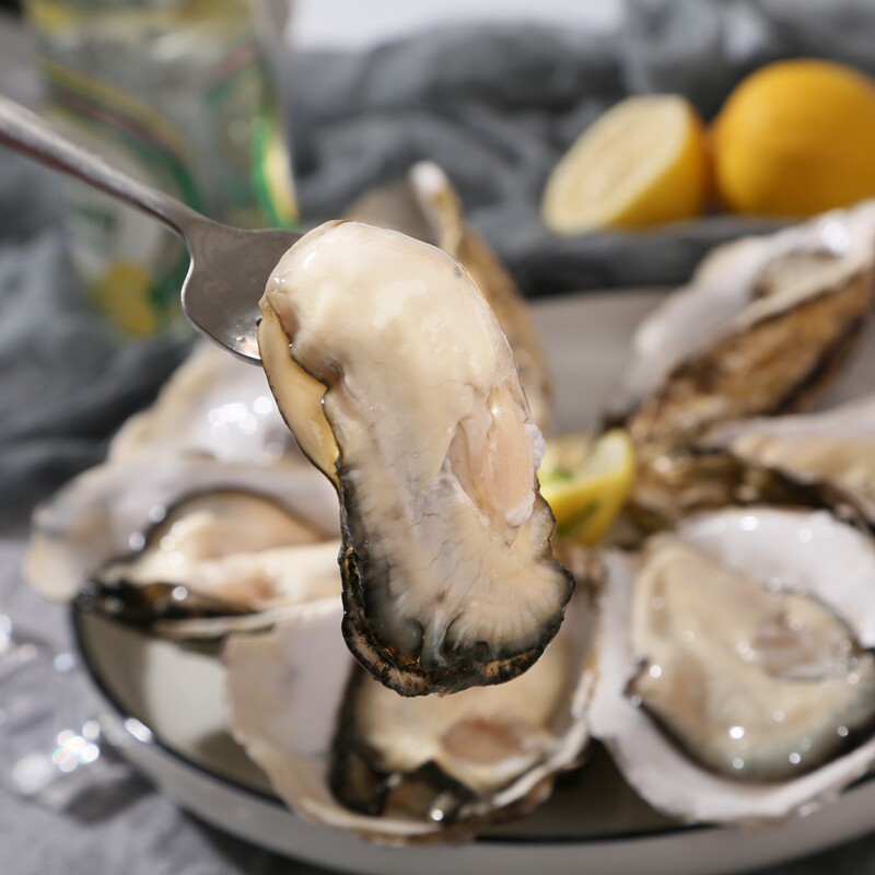 福建生蚝鲜活10特大刺身牡蛎岩蚝精品三倍体乳山生蚝商用5斤顺丰