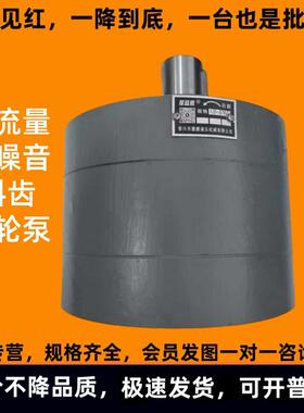 新款CB-B160大流量齿轮泵DCB-B200/B250/B300/B350/B400/B500包邮