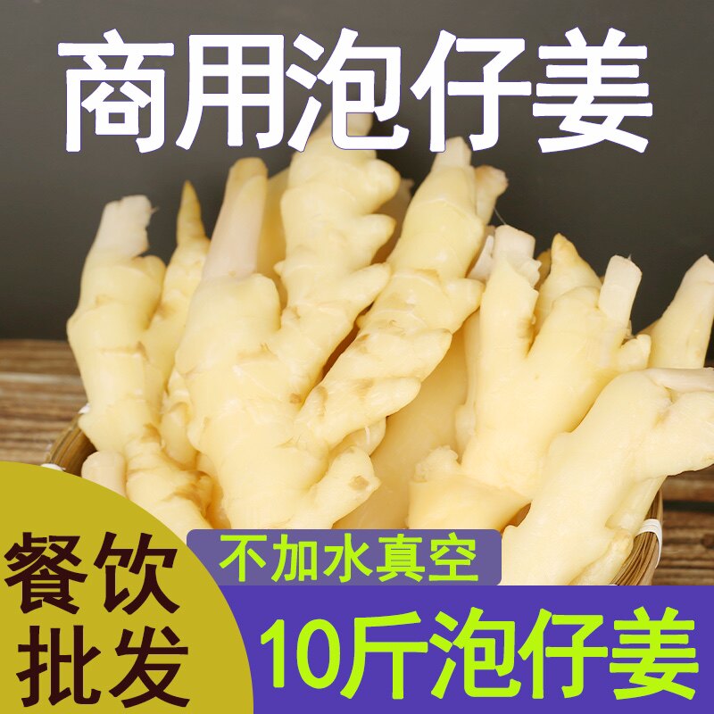 泡仔姜商用四川泡子姜嫩姜竹根姜水泡10斤/5斤/2斤泡菜仔姜兔调料