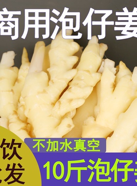 泡仔姜商用四川泡子姜嫩姜竹根姜水泡10斤/5斤/2斤泡菜仔姜兔调料