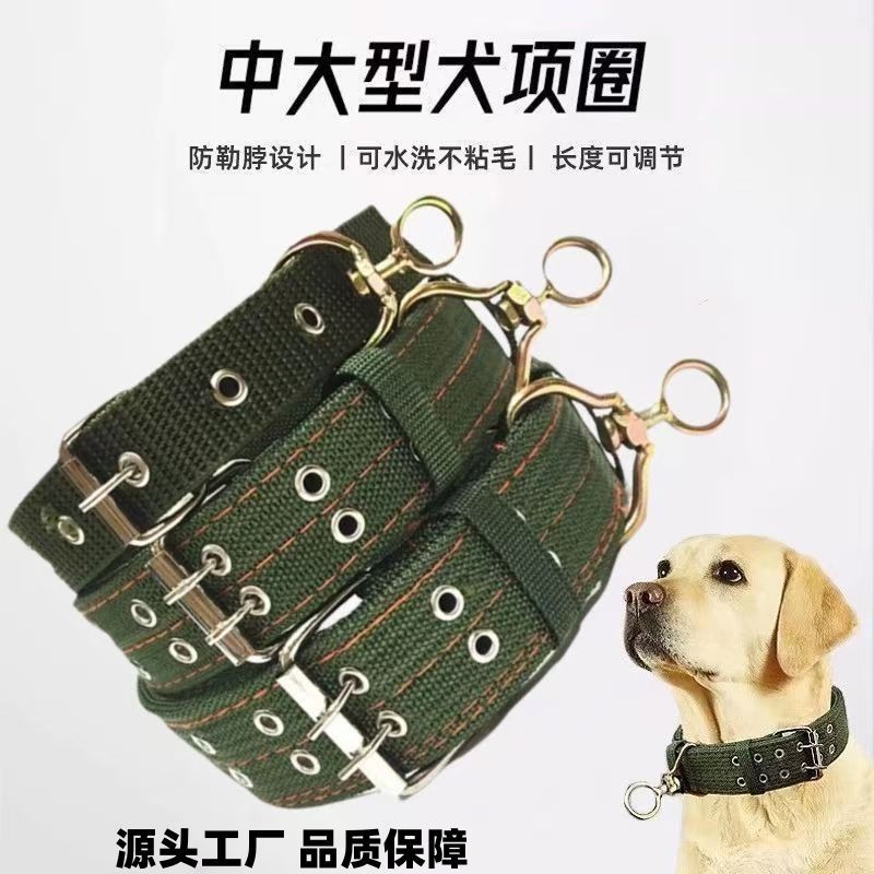 双排狗项圈颈圈脖结实中型犬金毛德牧大型犬拴狗防咬宠物户外训练