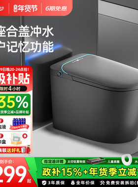 EFEF E12智能马桶全自动冲水翻盖一体式无水压限制家用坐便器