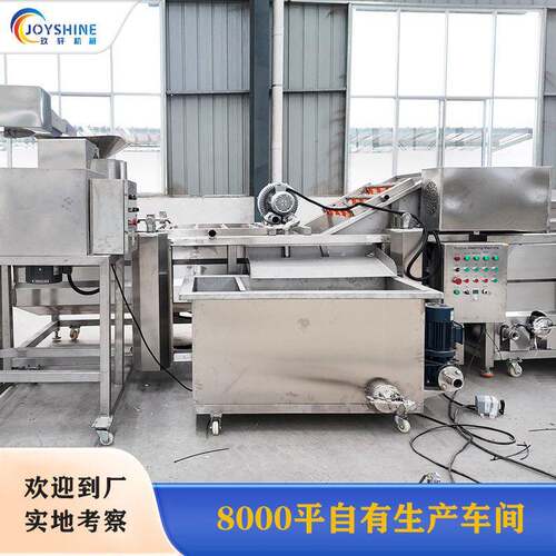 商用中央厨房清洗设备 全自动气泡清洗线 西兰花花椰菜超声波清洗
