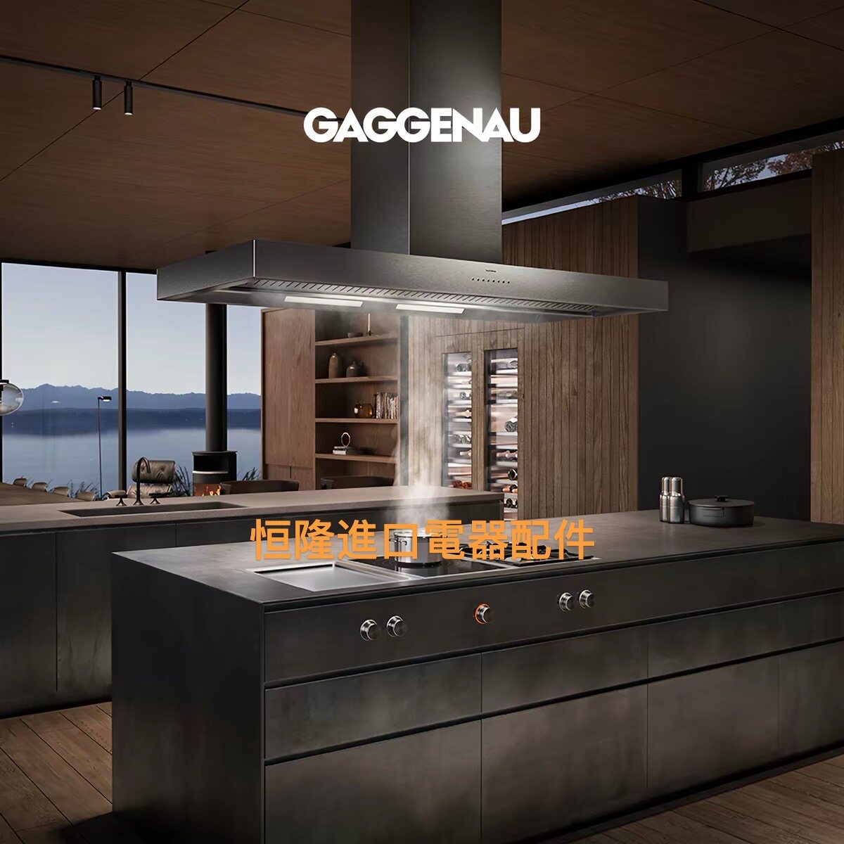 全国上门维修嘉格纳油烟机GAGGENAU马达电机不运转不通电射灯失灵