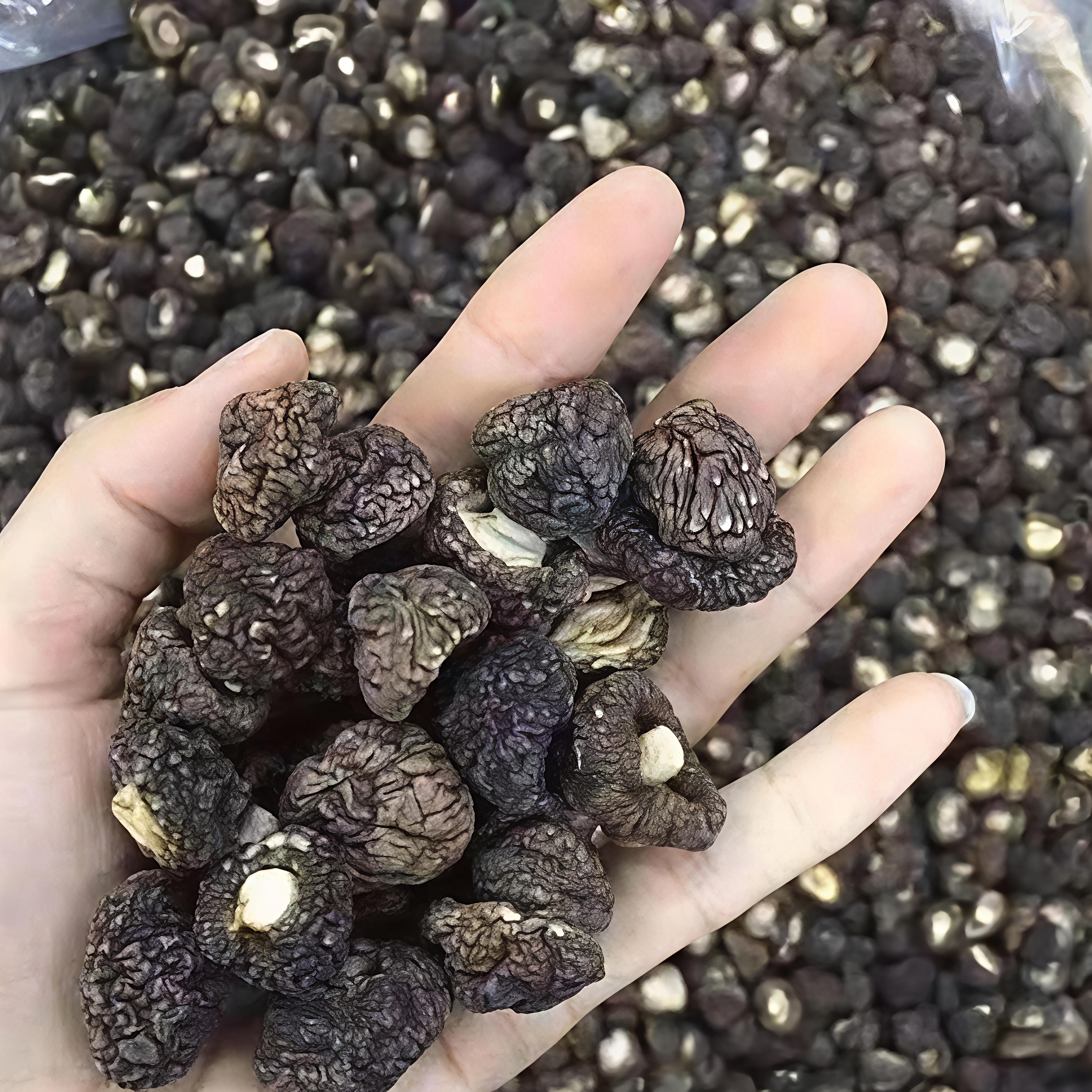 香菇干货金钱菇福建小香菇干货干香菇500g古田香菇福建菌菇特产