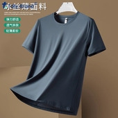冰丝T恤男夏季 短袖 薄款 速干体恤男上衣休闲运动凉感透气宽松男士