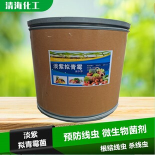 淡紫拟青霉 根线灵 根结线虫病厂家杀线虫剂 土壤改良微生物菌剂