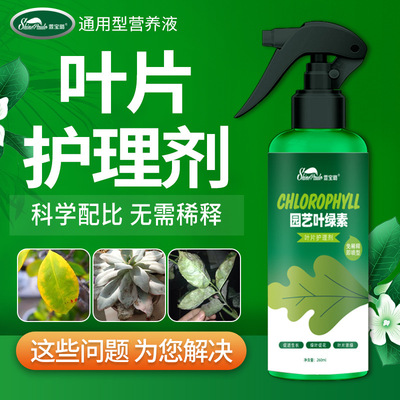 植物营养液通用型黄叶一喷绿花肥黄叶变绿叶面肥营养液通用养花绿