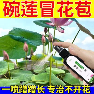 碗莲荷花睡莲专用营养液