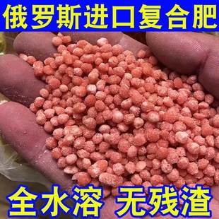 俄罗斯进口有机肥复合肥硫酸钾肥蔬菜化肥花肥料果树营养肥 包邮