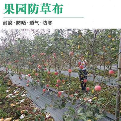 厂促加厚防草布除草布果园农用除草地膜果树遮草布盖草布黑色园u.