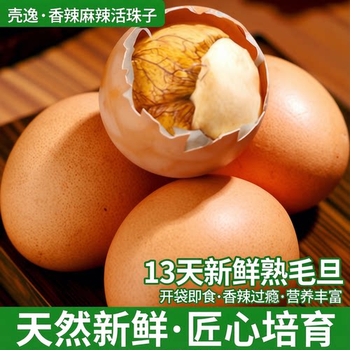 新鲜13天40枚活珠子壳逸