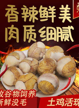 壳逸40枚13天新鲜麻辣香辣活珠子钢化蛋毛蛋喜蛋开袋即食熟食批发