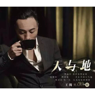 正版 王闻 男人四十 粤语高品质发烧蓝光BSCD光盘碟片 天与地