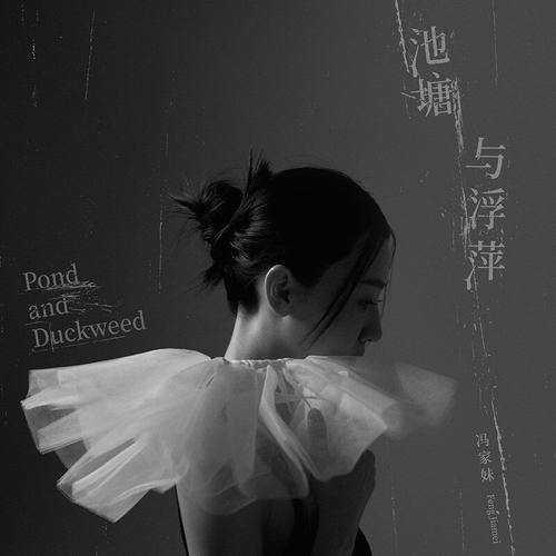 官方正版冯家妹专辑《池塘与浮萍》华语流行 钢琴2CD唱片车载光盘