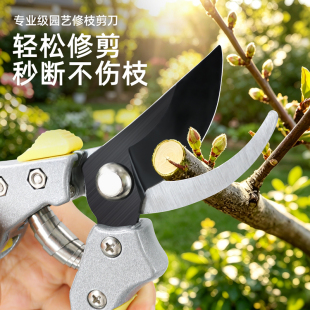专业级园艺剪刀果树修枝剪剪树枝专用剪刀德国工艺修剪枝花艺剪子