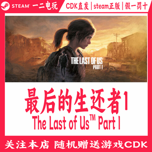 The Last 最后 Part Steam游戏CDKey激活码 生还者1正版