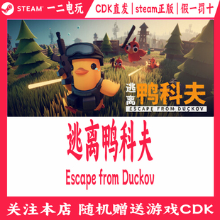 from cdkey国区Escape Duckov 游戏激活码 逃离鸭科夫steam正版