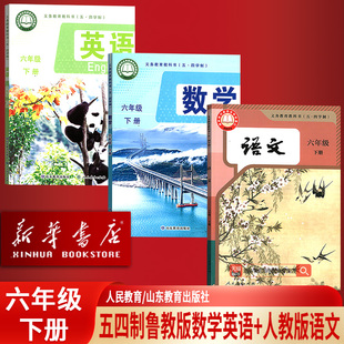【新华书店正版】五四制初中6六年级下册数学英语鲁教版语文人教版课本人民教育出版社54制教材六年级语文数学英语山东教育出版社