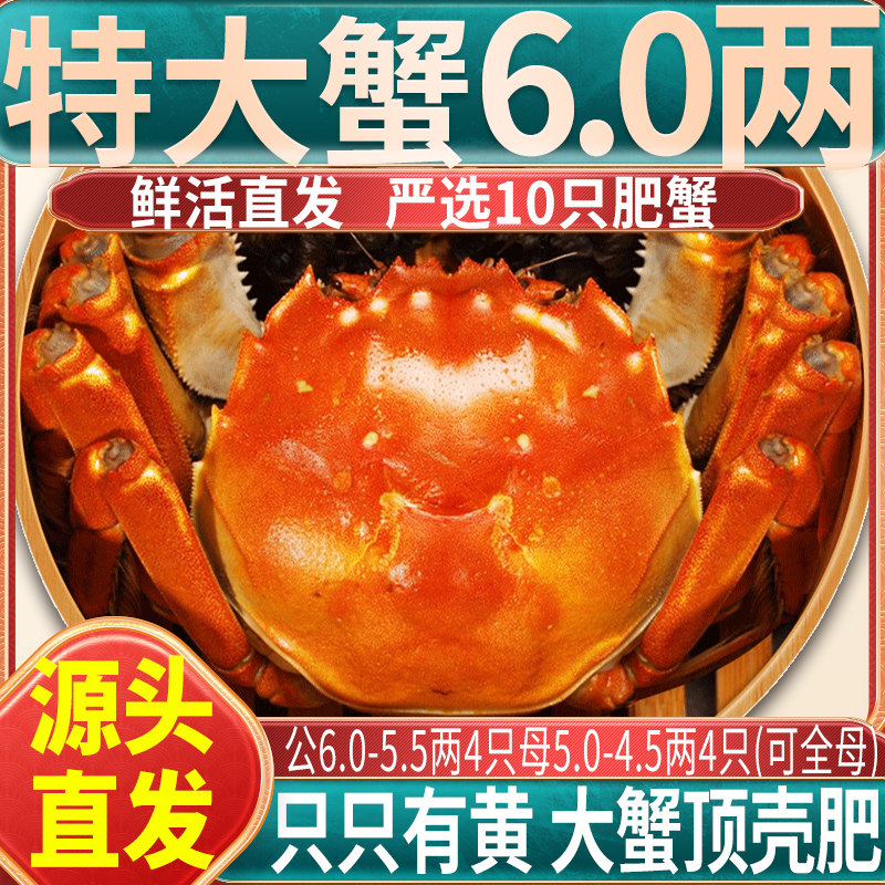 [活蟹]10只大闸蟹鲜活特大螃蟹全母蟹官方旗舰店河蟹湖鲜阳澄礼盒,水产肉类/新鲜蔬果/熟食,大闸蟹,淘宝优惠券,粉丝福利购,淘宝优惠卷