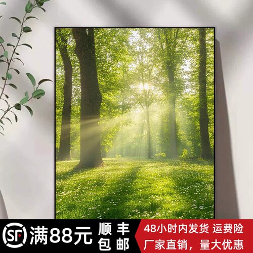 林间晨曦装饰画成品仿油画风景治愈系唯美意境绿色卧室客厅摆挂画