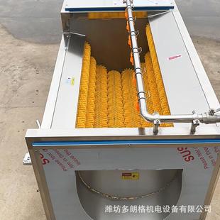 海鲜海蛎子毛辊清洗机扇贝波浪清洗猪蹄猪头设备中药材