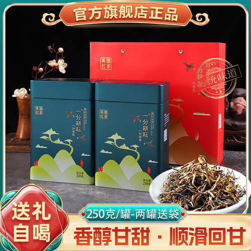三月明前春茶老树茶高香英德红茶