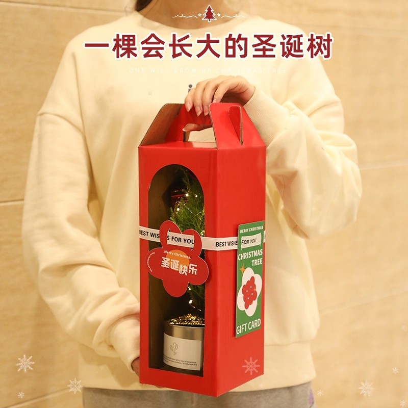 圣诞节礼物送女生男生朋友闺蜜创意装饰实用儿童小圣诞树平安夜E5