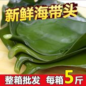 海带头新鲜盐渍海带根特厚昆布头荣成海带片半干货餐饮商用5斤装