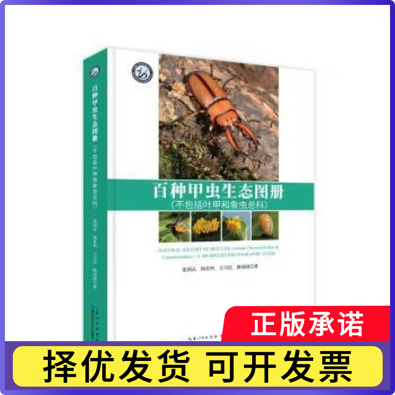 百种甲虫生态图册（不包括叶甲和象虫总科）张润志杨星科王兴民路园园 著9787570633517湖北科学技术出版社
