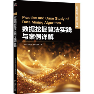 数据挖掘算法实践与案例详解丁兆云 沈大勇 徐伟 周鋆 著9787111760696机械工业出版社书籍\/杂志\/报纸/计算机/网络/数据库