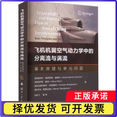 飞机机翼空气动力学中的分离流与涡流:基本原理与单元问题:basic principles and unit problems