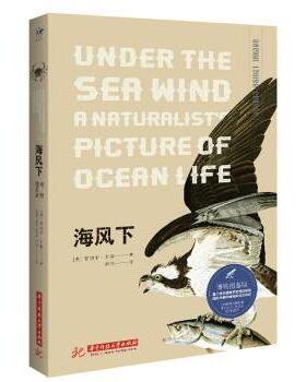海风下:博物图鉴版:a naturalist's picture of ocean life(美)蕾切尔·卡森(Rachel Louise Carson)著9787568035941