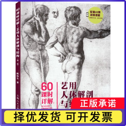 60课时详解：艺用人体解剖与结构：drawing human anatomy and structure陈伟生9787558623981上海人民美术出版社