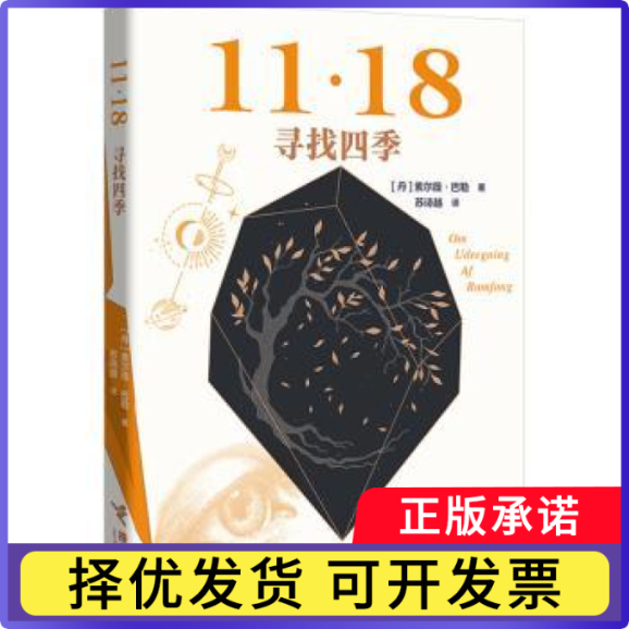 寻找四季[丹]索尔薇·巴勒9787544888554接力出版社有限公司书籍/杂志/报纸/文学/现代/当代文学