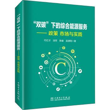 “双碳”下的综合能源服务:政策 市场与实践代红才[等]著9787519879044中国电力出版社