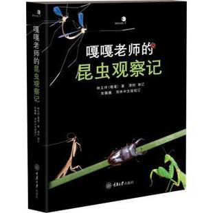 嘎嘎老师的昆虫观察记林义祥(嘎嘎)著9787568913744重庆大学出版社书籍\/杂志\/报纸/自然科学/科普读物/动物