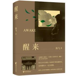 醒来(2025版)海飞 著9787533977788浙江文艺出版社书籍\/杂志\/报纸/文学/现代/当代文学