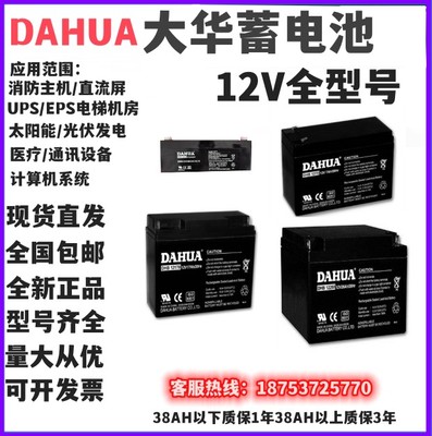 DAHUA大华蓄电池DHB12260消防