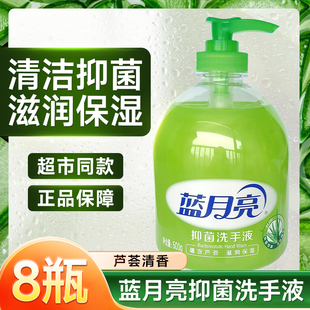 2瓶套装 蓝月亮洗手液家用杀菌消毒抑菌500G 芦荟滋润温和不刺激