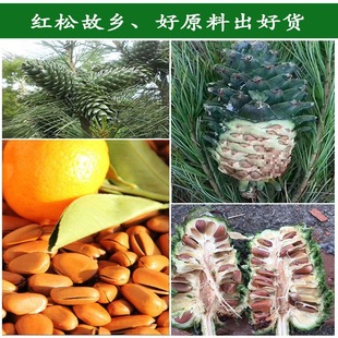 开口松子新货原味大颗粒东北特产松树籽手剥红松子坚