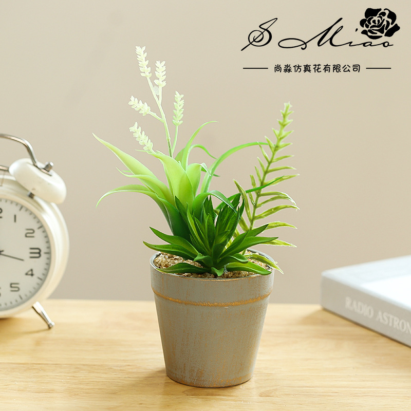 多肉植物组合盆景人造花家居摆件