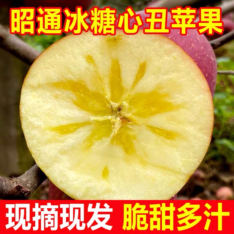 云南昭通丑苹果冰糖心当季新鲜水果孕妇平果生应季整箱现摘先发