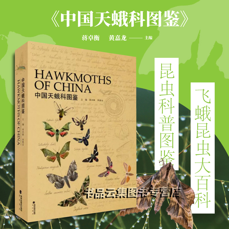 正版现货 中国天蛾科图鉴 蒋卓衡 黄嘉龙主编 海峡书局 昆虫科普图鉴 飞蛾昆虫大百科全书科普dk昆虫书科普