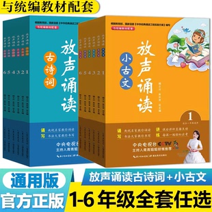 古诗词小古文放声诵读一二三四五六年级语文部编人教版 阅读辅导资料小学生课外拓展 上下册小学123456年级语文教材同步训练国学经典