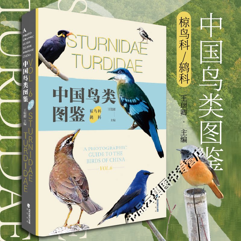 正版 中国鸟类图鉴椋鸟科鸫科 观鸟BB科普教育课外识鸟图文常见新手入门观鸟日常 亚洲鸟类观察手册国家地理珍稀鸟类全书 海峡书局