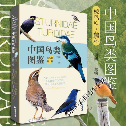 正版 中国鸟类图鉴椋鸟科鸫科 观鸟BB科普教育课外识鸟图文常见新手入门观鸟日常 亚洲鸟类观察手册国家地理珍稀鸟类全书 海峡书局