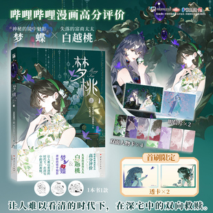 印签绘【赠精美周边】梦桃1 瓜尔佳氏·手脚擦伤绘 哔哩哔哩漫画实体书 双女主双向救赎镜中魅影梦蝶富商太太白越桃 华文天下